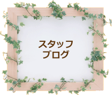 スタッフブログ