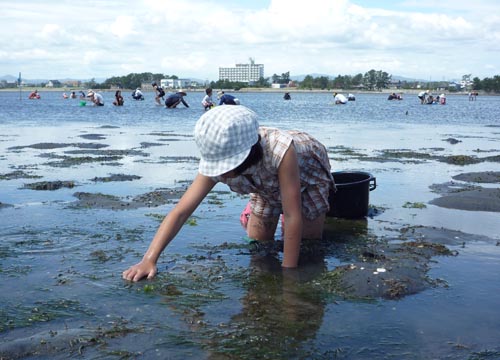 潮干狩り